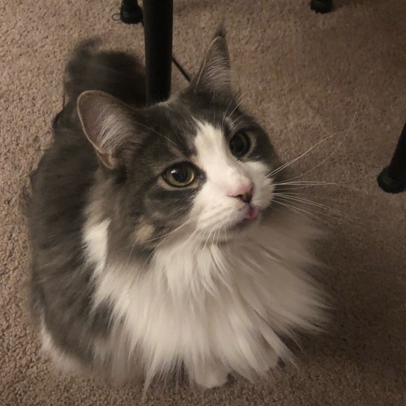 meet your posher! - Picture 2 of 2